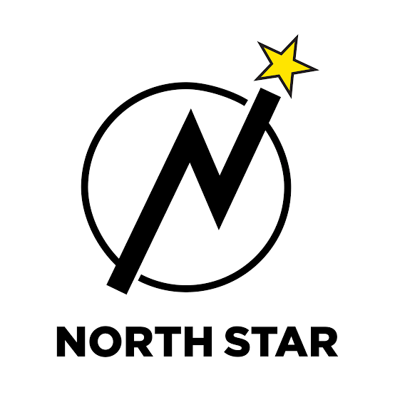 North Star Business Consultancy logo